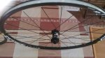 IMG-20161017-WA0002.jpg