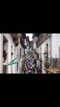 candelario_3.jpg