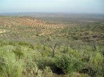 DSCN5532 (Medium).JPG