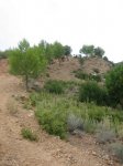 IMG_0041.JPG