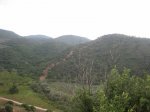IMG_0069.JPG