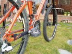 Orange4 (Small).JPG