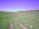 PIC_0016.JPG