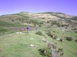PIC_0022.JPG