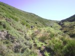 PIC_0025.JPG