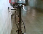 imagen037rwi3.jpg