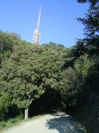 DSC00030.jpg