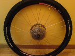 DSC00163.JPG