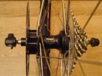 DSC00164.JPG