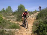 arriba_IMGP4284.jpg