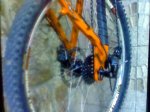 Imagen049_edited.jpg