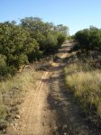 DSC02715_resize.JPG