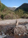 melipeuco 005_resize.jpg