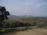 PA140047.jpg