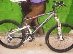 BICI 021 (Small).jpg