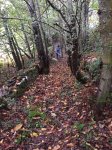 IMG-20161016-WA0025.jpg