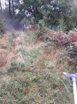 IMG-20161016-WA0030.jpg
