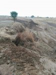 IMG-20161020-WA0022.jpg