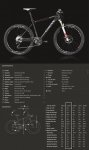 bici2a.jpg