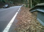 arcen-20161021.jpg