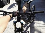 IMG_20160527_175000.jpg