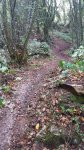 IMG-20161015-WA0033.jpg