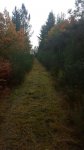 IMG-20161016-WA0021.jpg