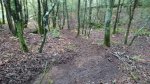 IMG-20161016-WA0031.jpg