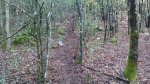IMG-20161016-WA0032.jpg