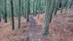 IMG-20161016-WA0033.jpg