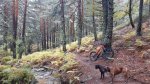 20161023_142343.jpg