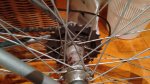 IMG_20161023_205424828.jpg