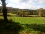 IMG_20161023_120500.jpg