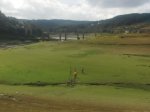 IMG_20161023_151426.jpg