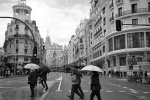 Trashumancia (10).jpg