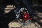 _DSC0110.jpg