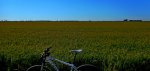 DSCN0138.JPG