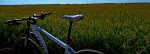 DSCN0141.JPG