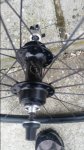 20161016_112441.jpg