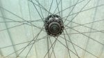 IMG_20161025_125913.jpeg