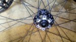 IMG_20161025_130021.jpeg