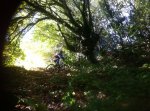 IMG-20161024-WA0046.jpg