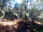 IMG-20161025-WA0036.jpg
