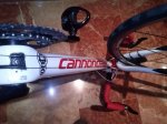 CAM03181.jpg