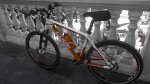 AdobePhotoshopExpress_09e6db8efa854995841ff13801862b3d[1].jpg