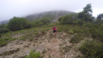 vlcsnap-2016-10-23-23h53m32s587.png