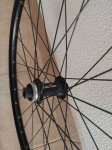 IMG_20161028_121912.jpg