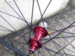 IMG_20161025_134440.jpg
