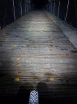 IMG_20161029_072607.jpg