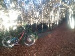 20161029_180627.jpg